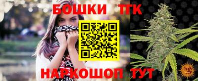гашик Берёзовский