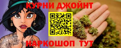 гашик Берёзовский