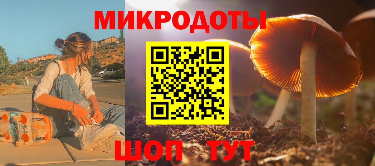 Галлюциногенные грибы Psilocybine cubensis Кемерово