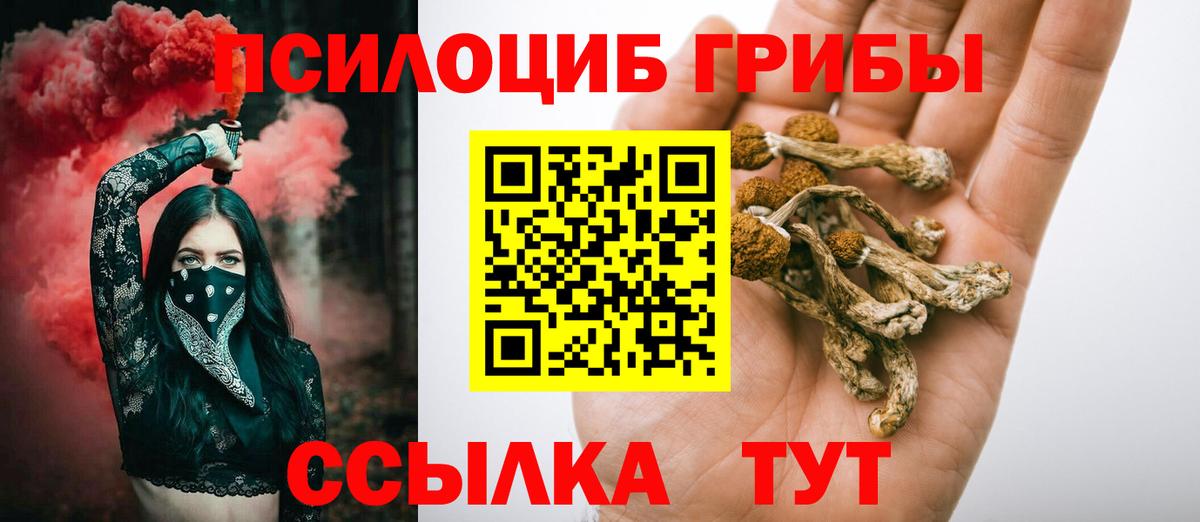 Кемерово  Псилоцибиновые грибы Psilocybine cubensis  Вход с VPN 